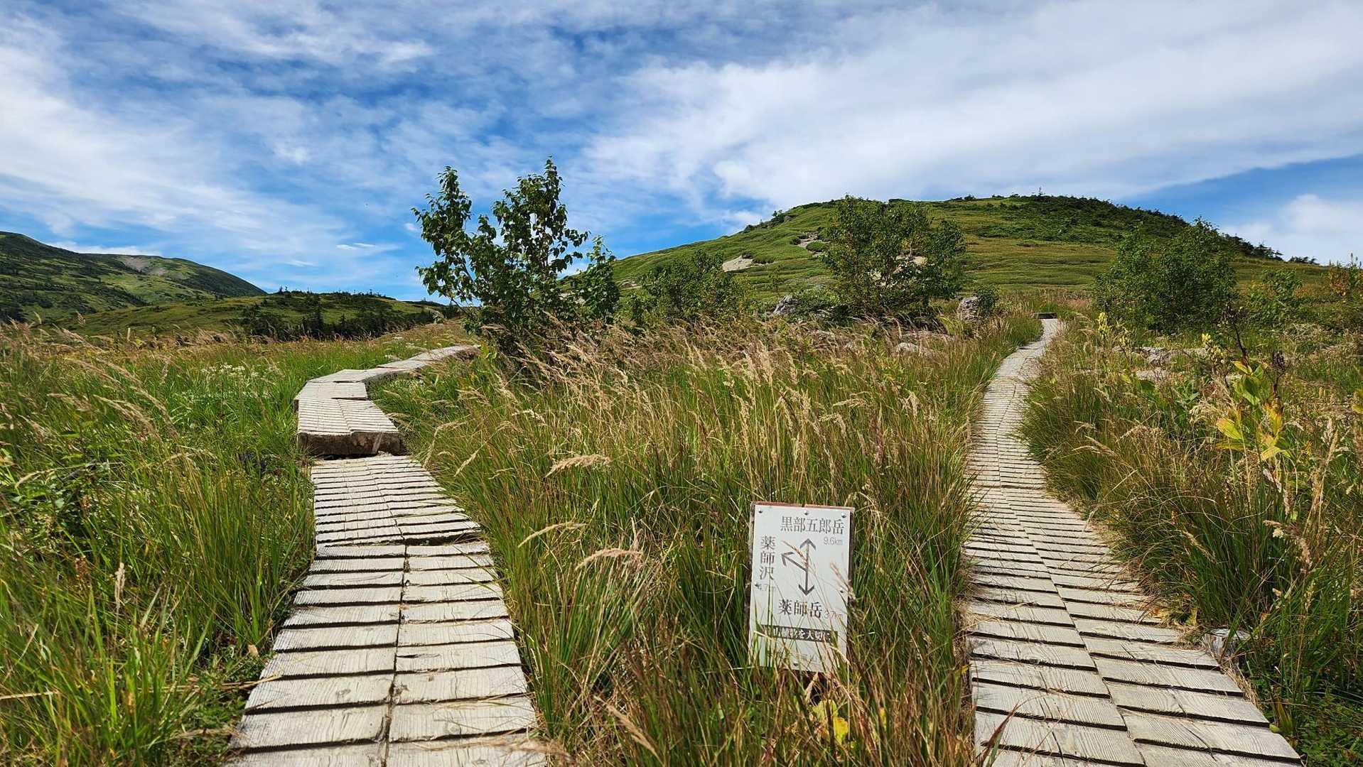 分岐左へ
薬師沢▪︎雲の平
どっちに行っても天国🌸
