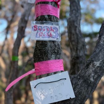 やっと南コブ登頂⛰️