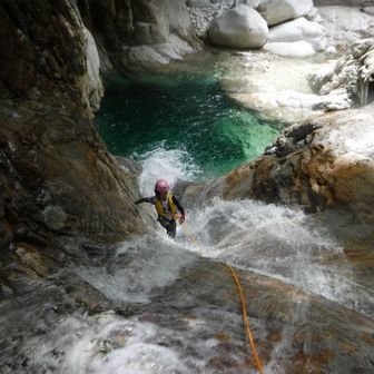 🇬🇧TOYO-P🇺🇸