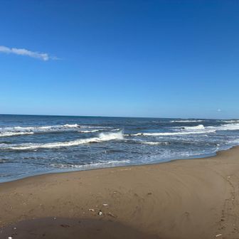 雪国育ちなので海🌊を見るとワクワクします🎵