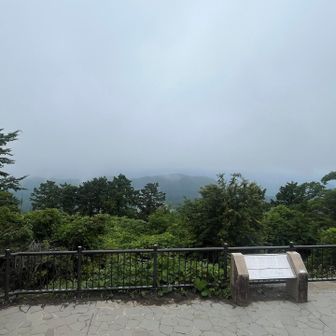 丹沢さえ見えませんっ