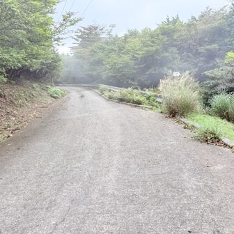 仙ヶ岳登山口が見えた。