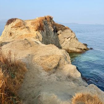 着いた〜❣️

動物に見える〜😆🐶