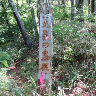 丸尾の鳥屋