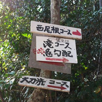 数秒程考えてしまいましたが折角なので滝コースへ。