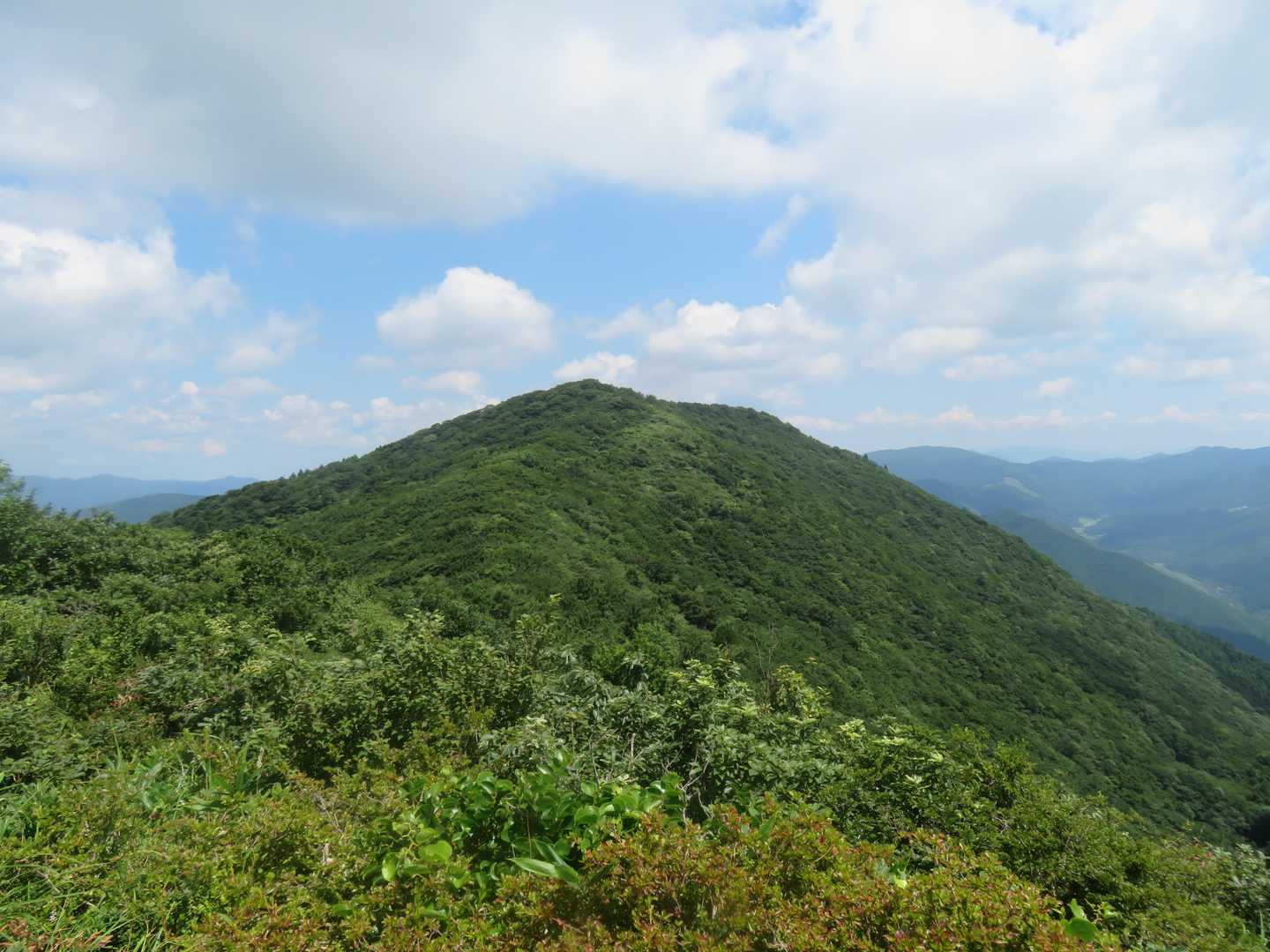 南峰から見た猫山