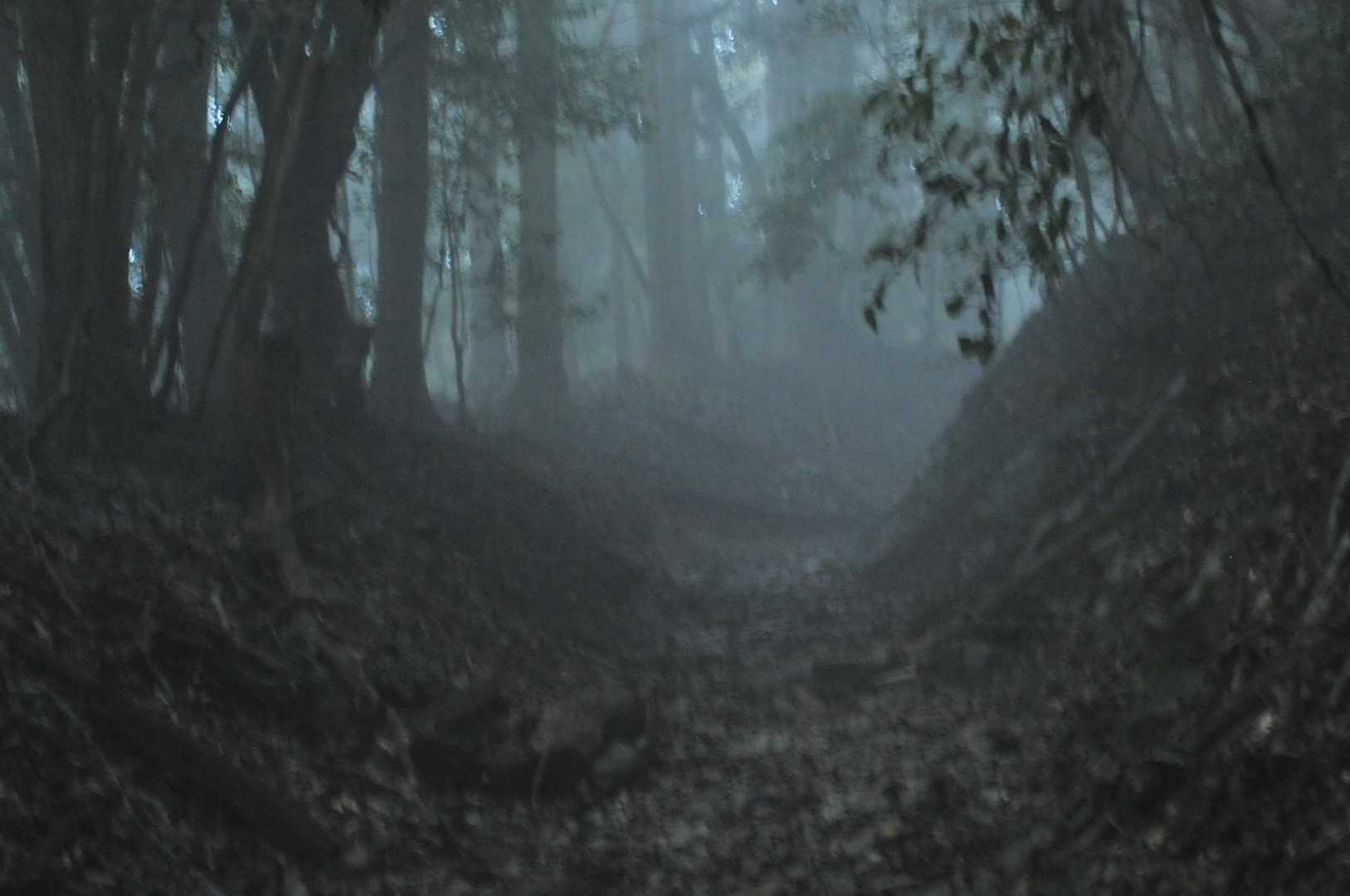 雰囲気出てきました👻