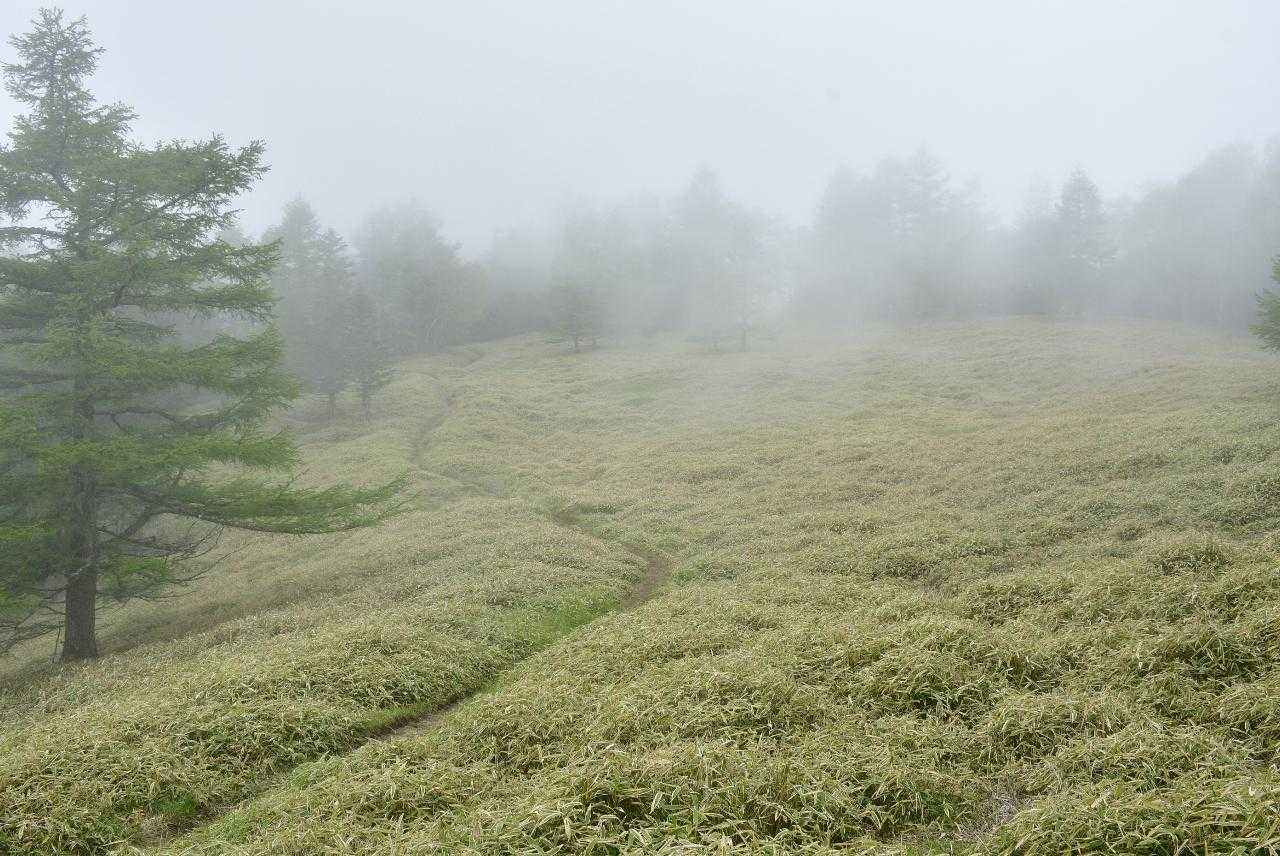 千頭星山の手前。ここも非常になだらかな道