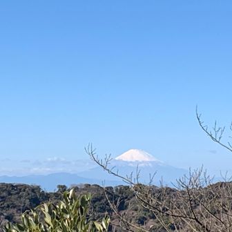 ご褒美は富士山