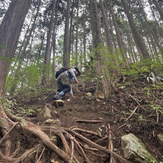 今日は貯筋活動💪
激登り急登の香楠荘尾根を登ります。
汗吹き出す💦💦
