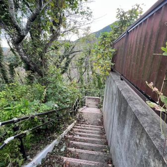 河内桜公園方面に降りる🥾