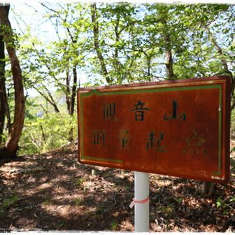 観音山 308m。