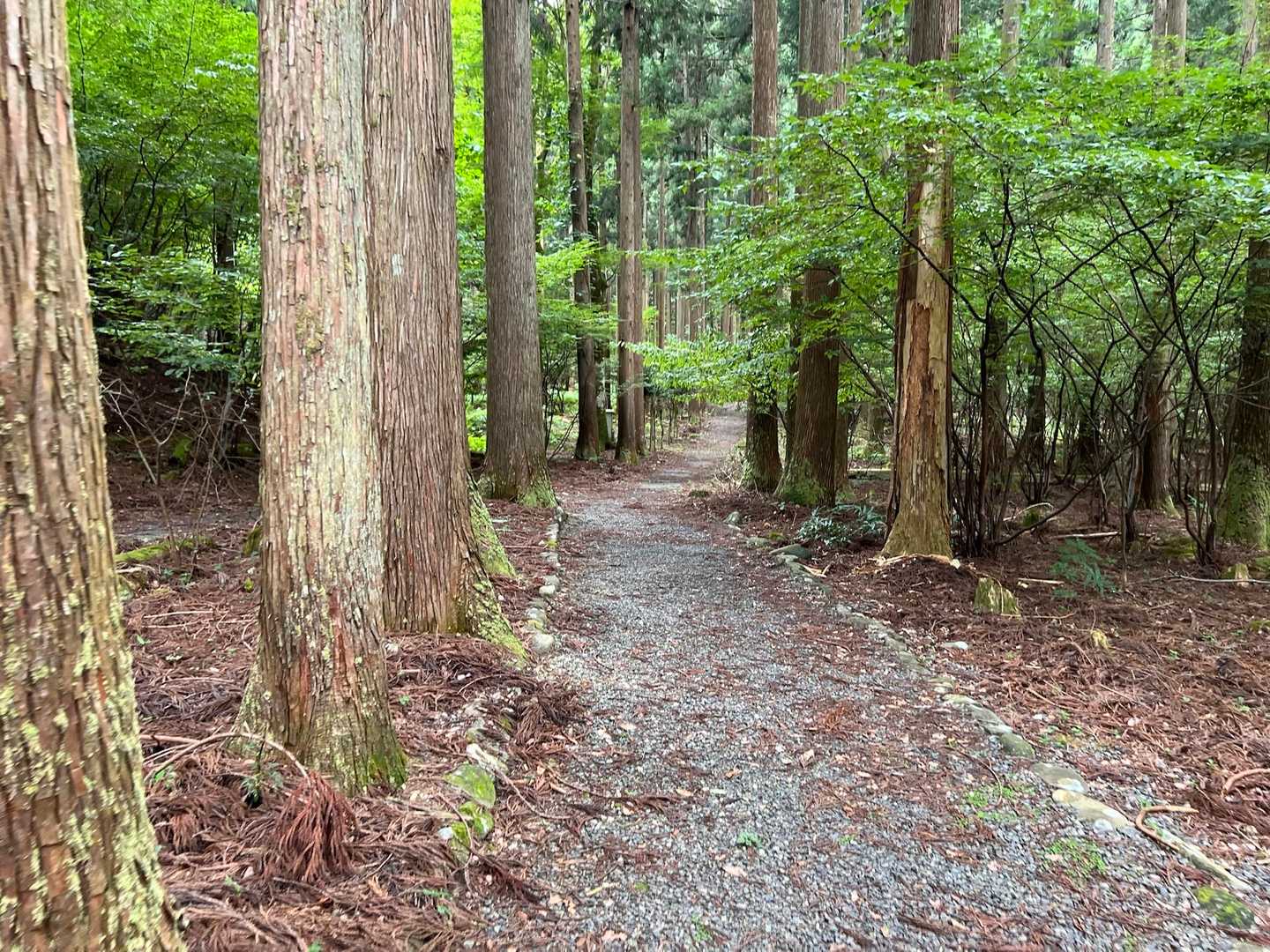 ようやく行ってきま〜す♪