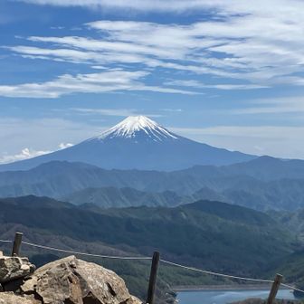 どすこい同好会