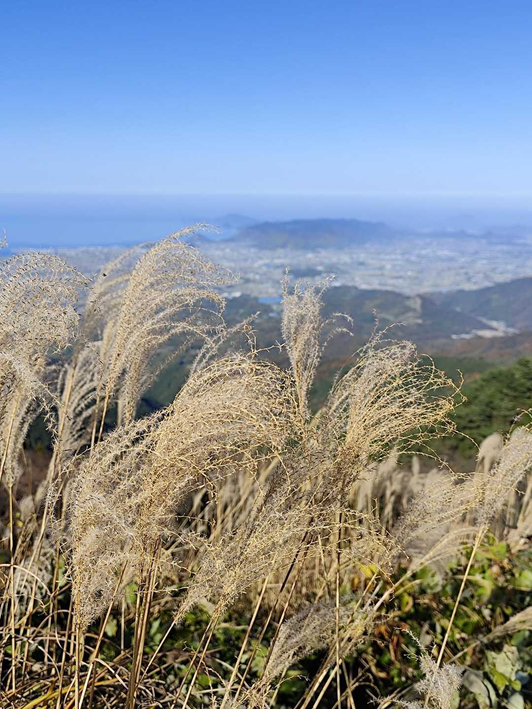 山嶺駅-雲辺寺山 周回コースの写真