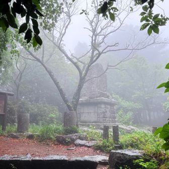 中宮でも雨。