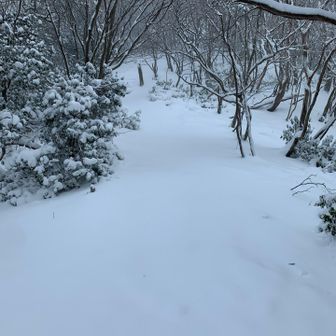 10センチ、15センチ積もってたね

ダイブして天使の羽やりたかったけど、勇気がでなかった（笑）