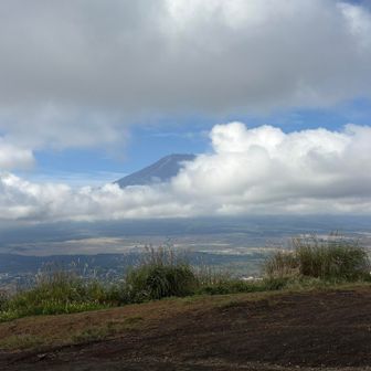 富士山を拝むことができた