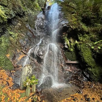 滝としても立派
　それ以上の迫力感じました！