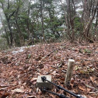 笹苞山三角点タッチ🦯
このままピストンで帰りました😉