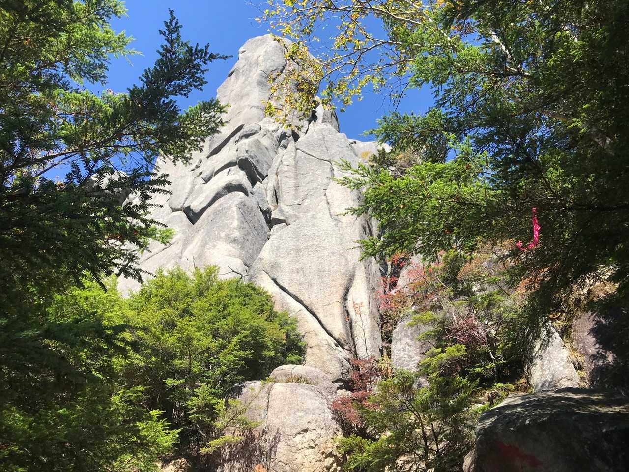 山頂か⁉️
偽物です。