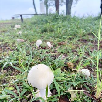 おーい　みんな　そっちは何か見える？