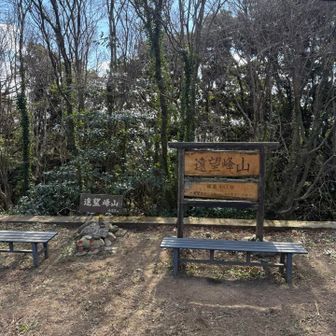 遠望峰山山頂　遠望はできなかったですが😂