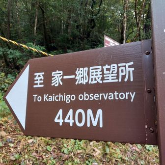 そして登山口到着🫡
また家一郷山です🤩