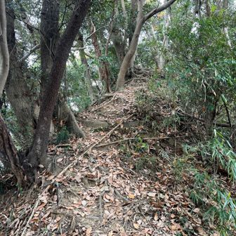 誰かが手を加えて歩きやすいようにしてくれている