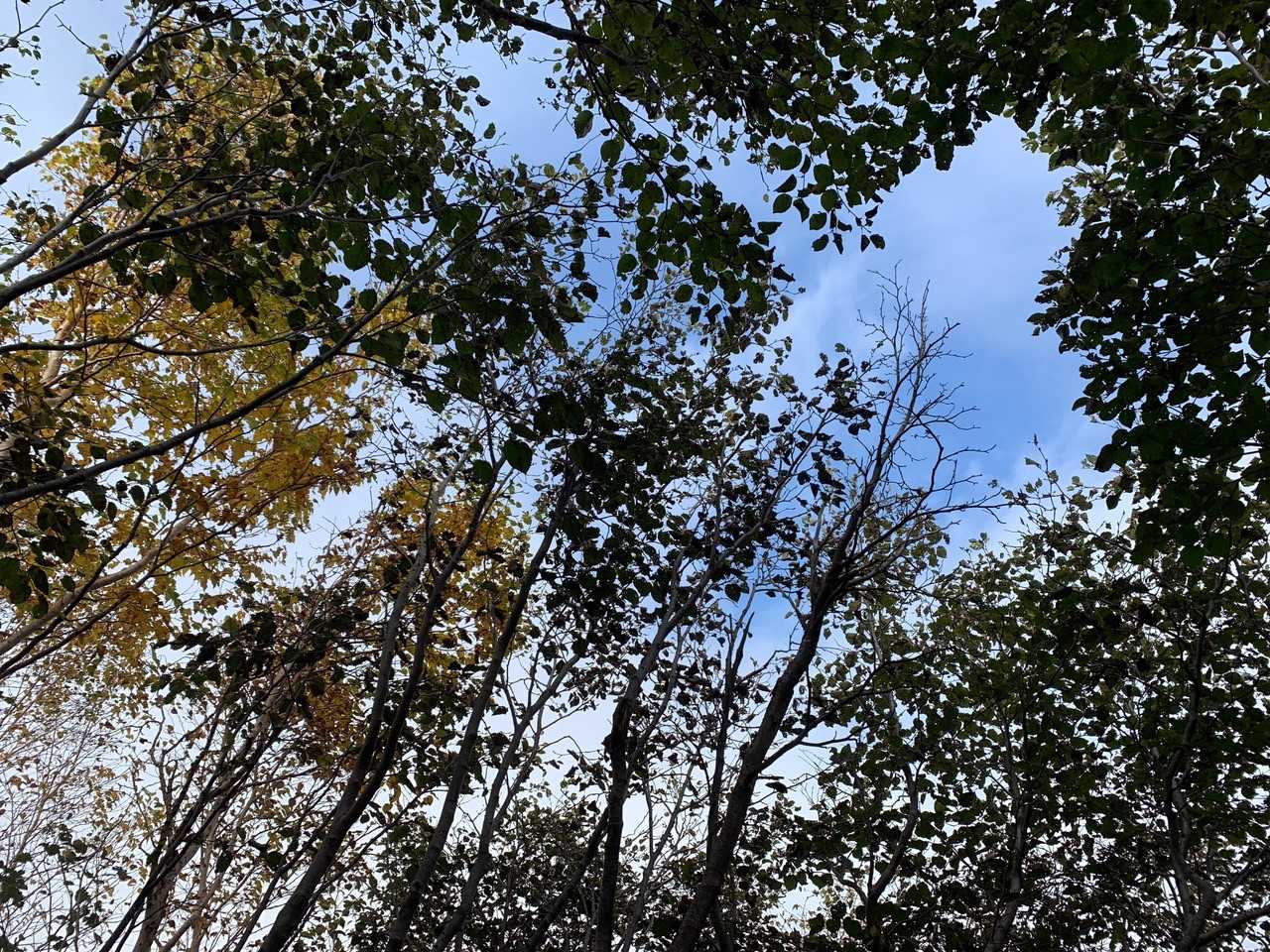 疲れ果てて座り込み、ふと上を見上げると、青空が！ちょっと元気になる。