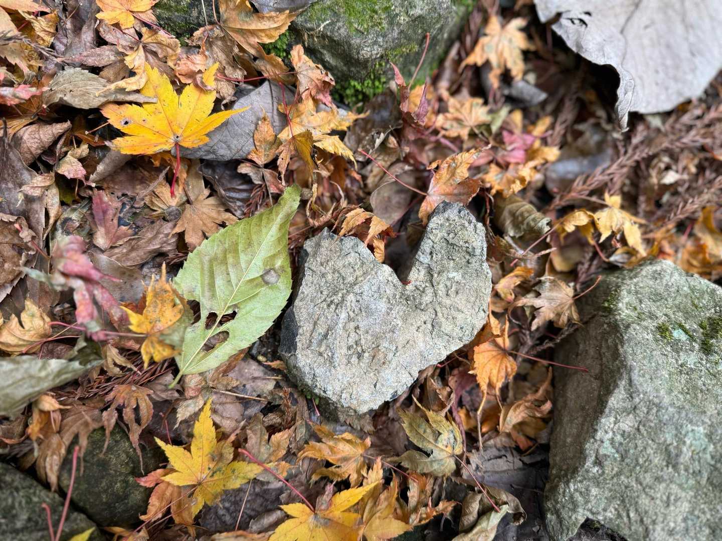 ハート♡
