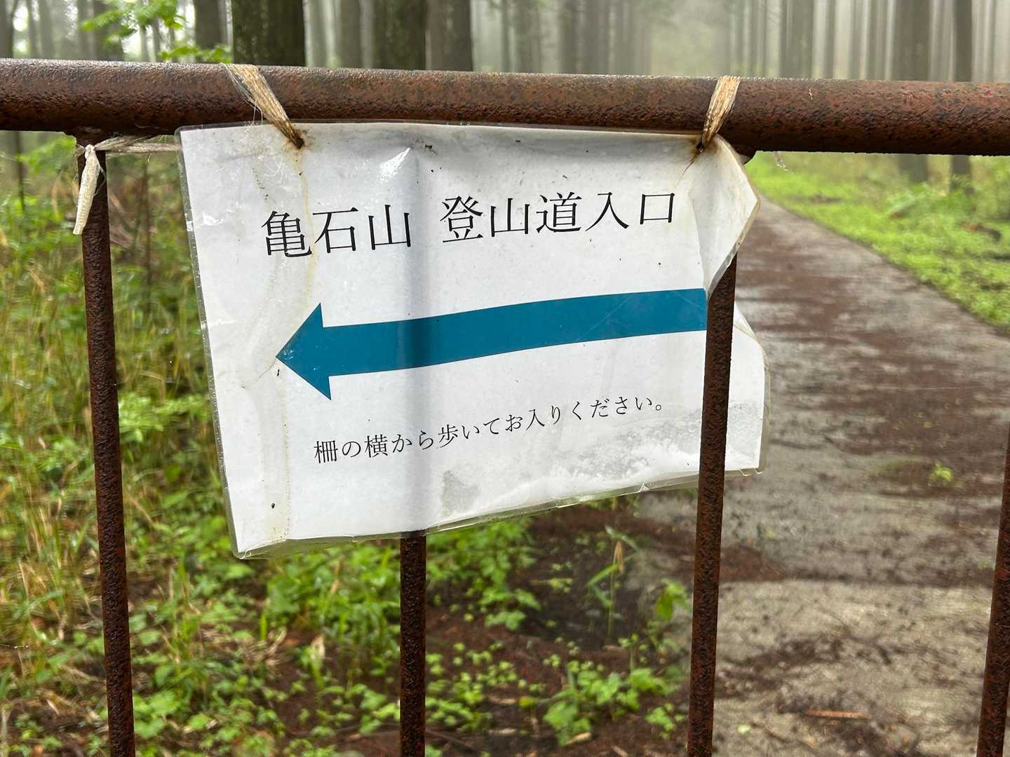 柵があったけど人は通れます🚶‍♀️
そう、今日向かう1stピークはドラゴンボールを彷彿とさせる名前の亀石山✨🐢🪨⛰️✨
山頂にそんな石があるとかな？