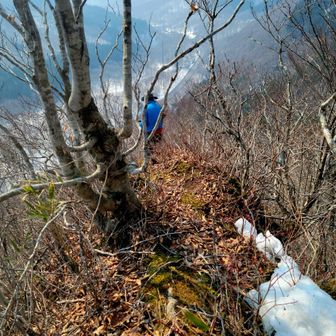 「こっち降りれるわ」って先端まで行く山友
おーい❗やめてくれぇ❗景色堪能したし、狭いから、もう帰ろう…
じゃあ☕でも飲むかーと今度はリュックを下ろす…マジかー😅
却下❗下山したらゆっくり飲もう…頼む🙏笑