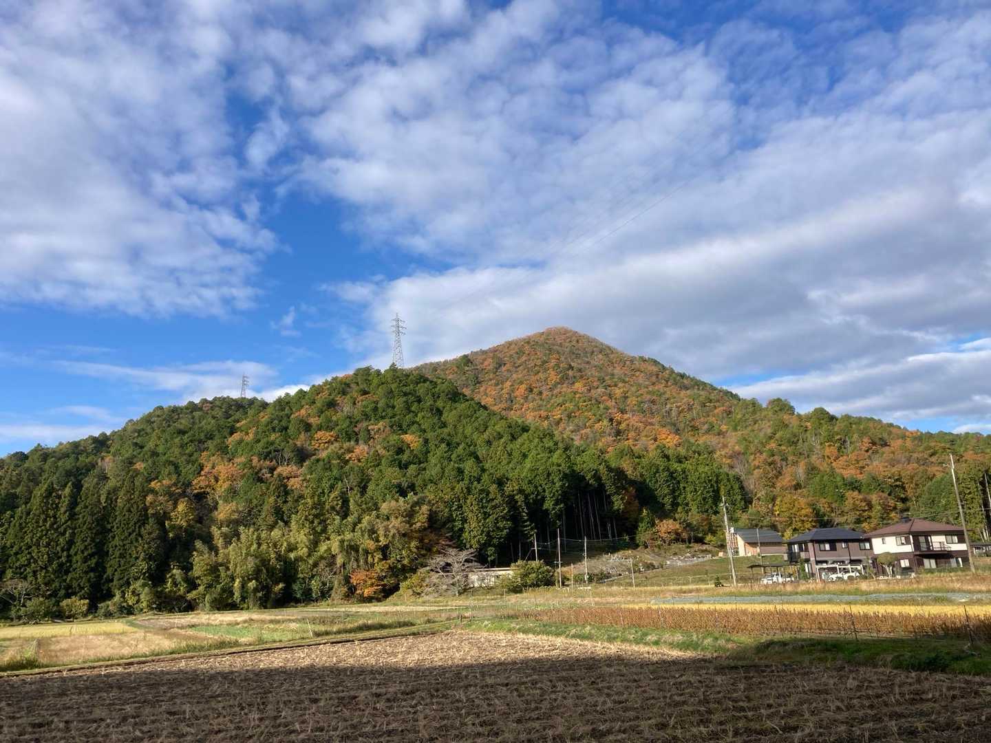 紅葉🍁が綺麗です。