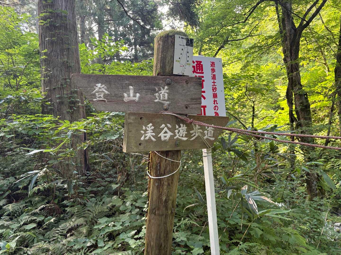 渓谷遊歩道は封鎖。
登山道へ。