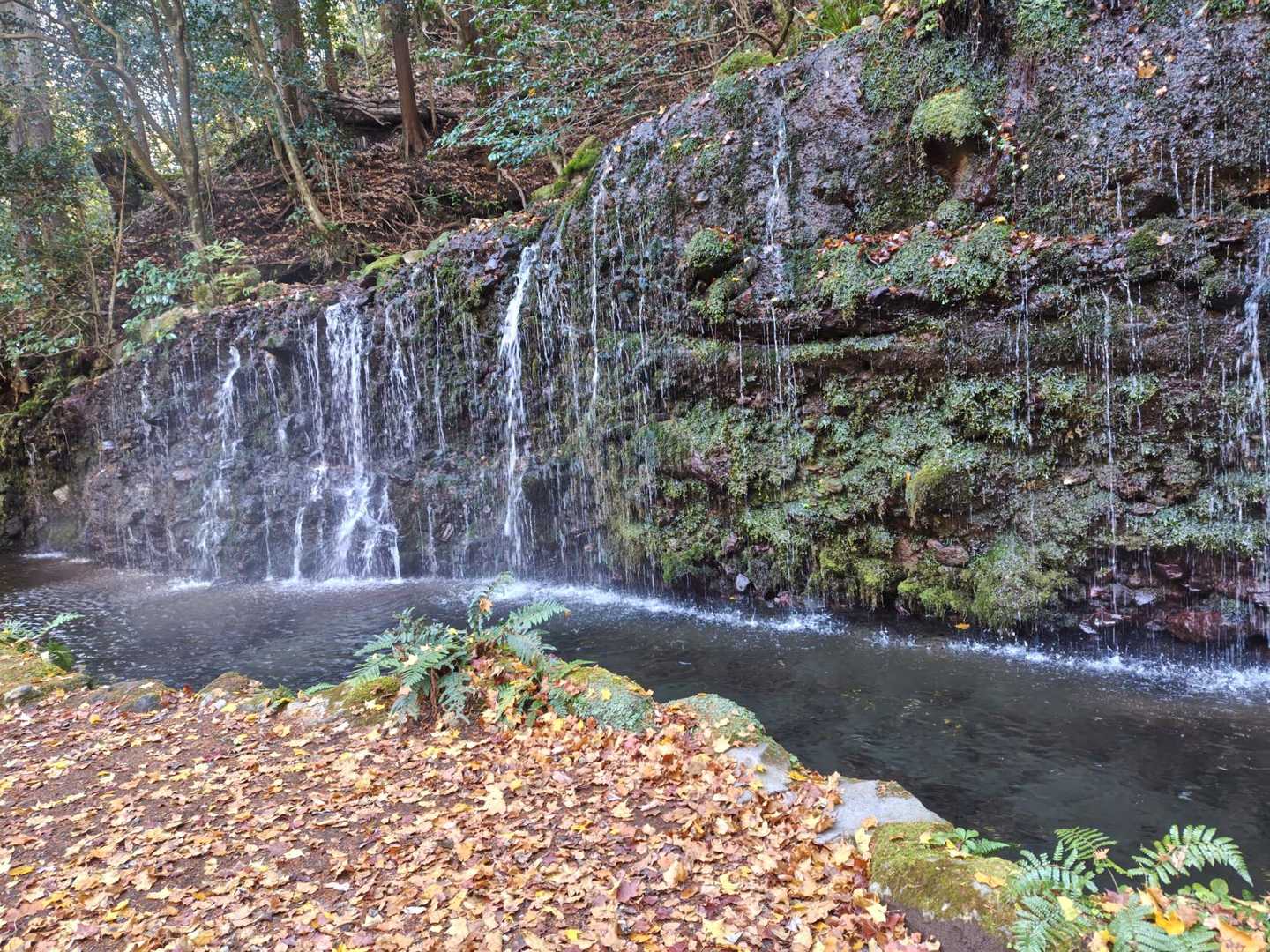 滝が綺麗
