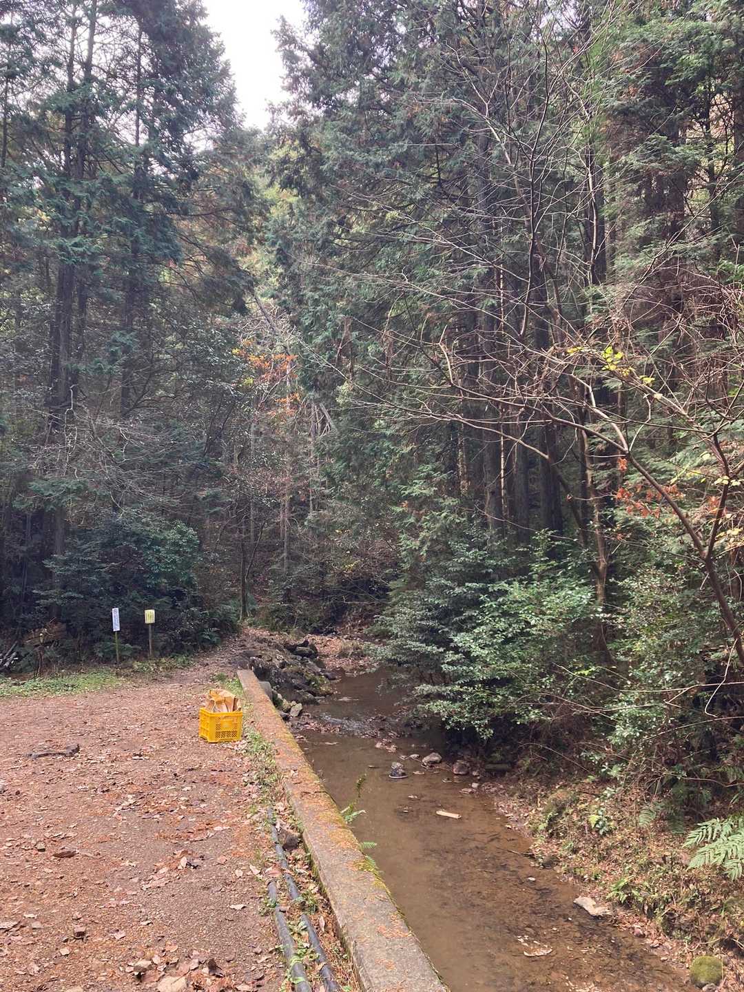 沢沿いを歩きます