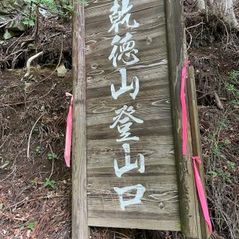登山口✨