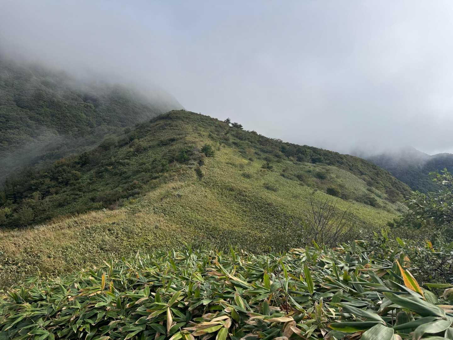 子三瓶山〜男三瓶山の下り。
景色は良いなー。