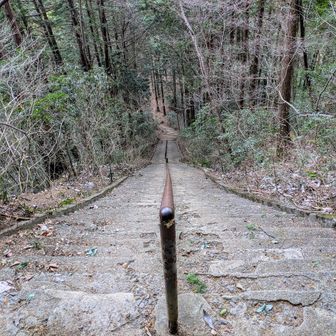 そして最後の難関！急角度の階段です。上から見たところ