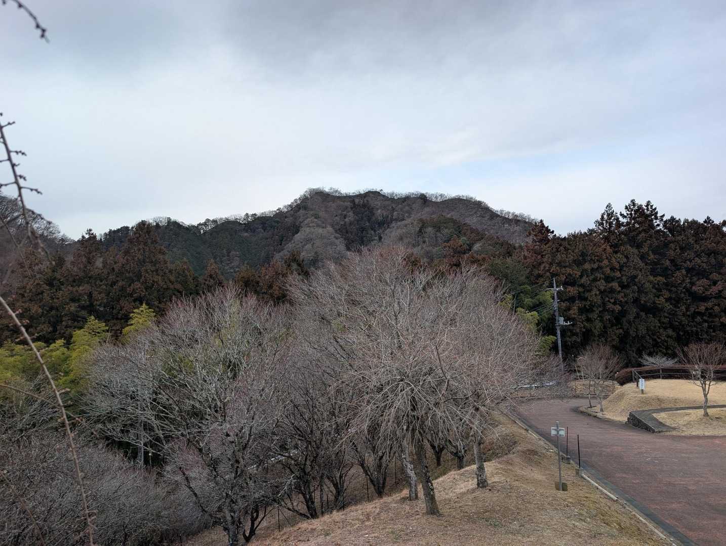 蛍山へ