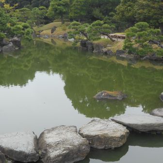 大泉水の廻りは、磯わたり風の飛び石で回遊出来る．．．