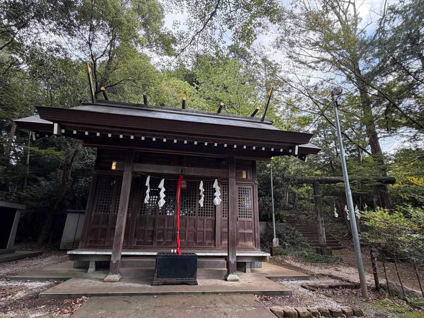 ここの右から入ります