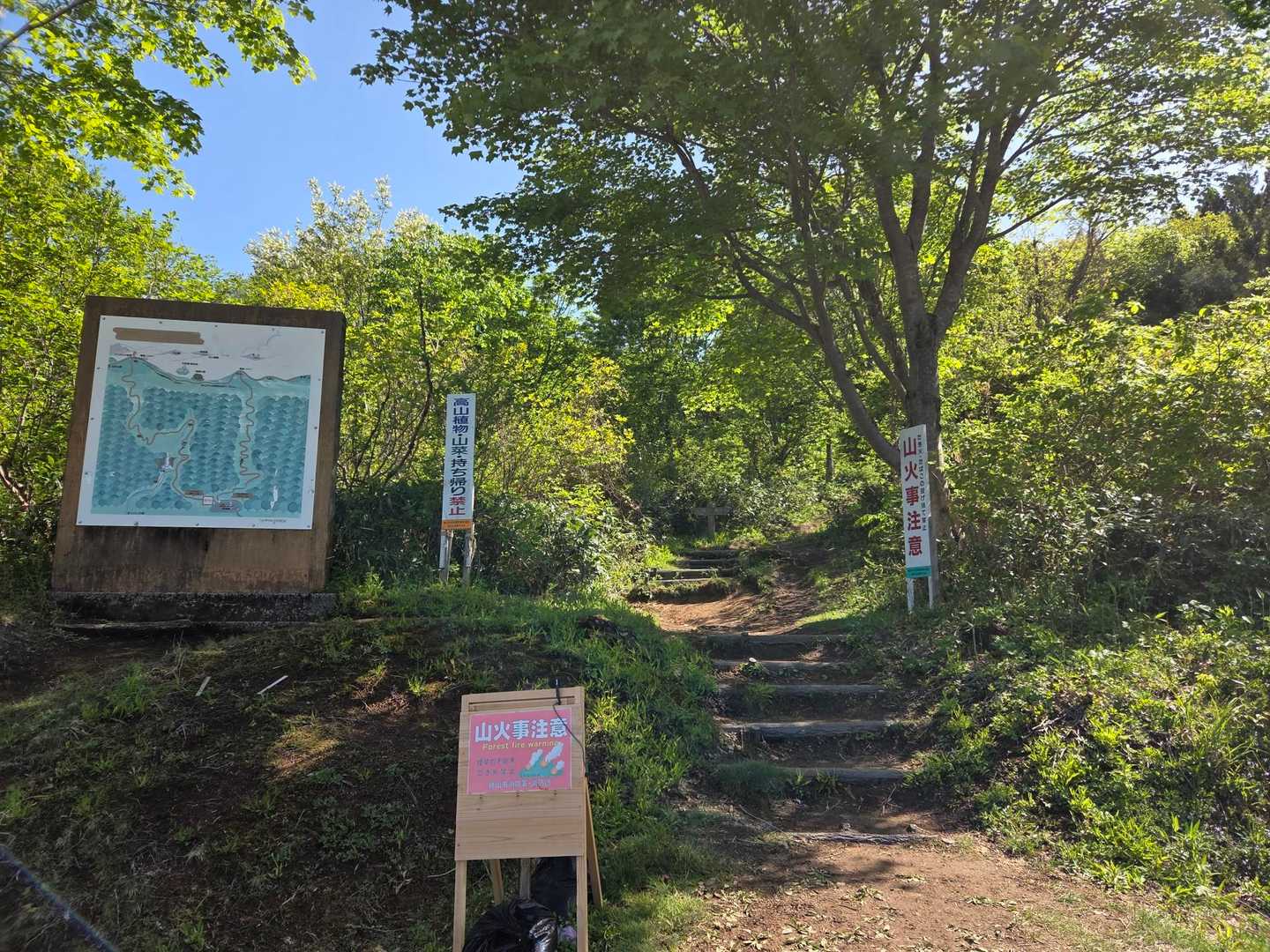 新緑に囲まれてスタート🚶‍♀️