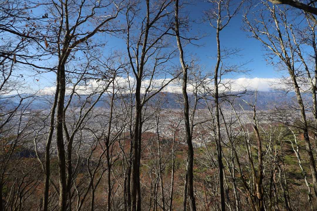 木々の合間から展望
アルプスは雲多め