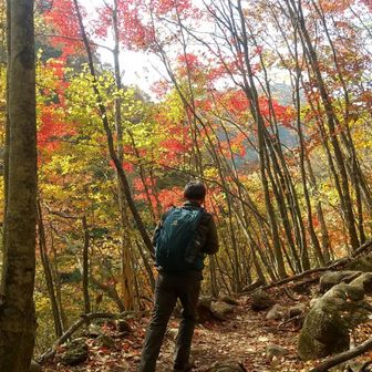 ポンコツ（本骨）登山隊