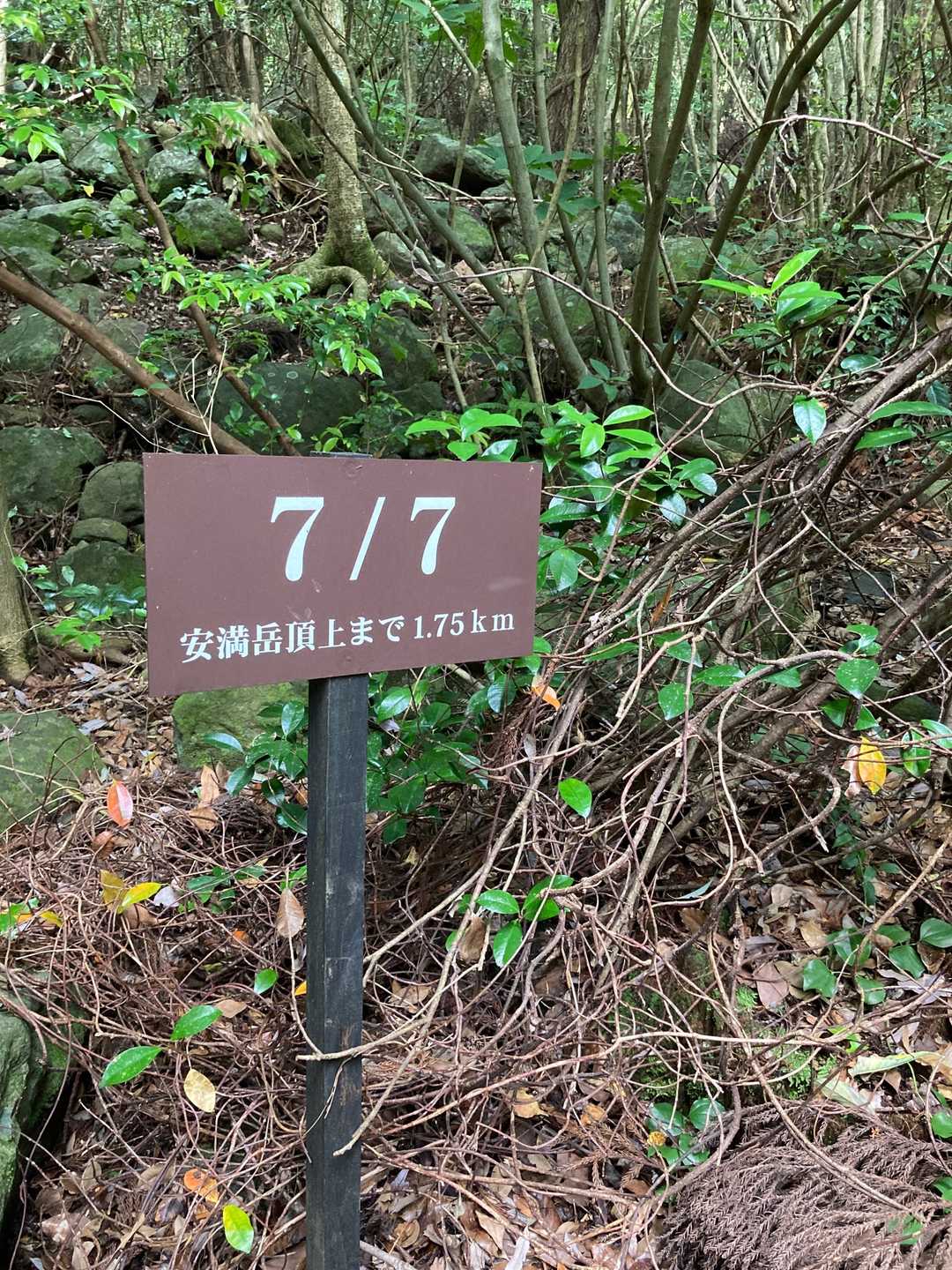 わかりやすい標識
