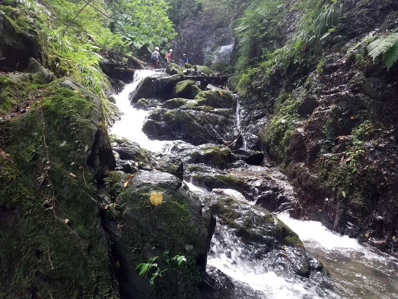 沢化した登山道。