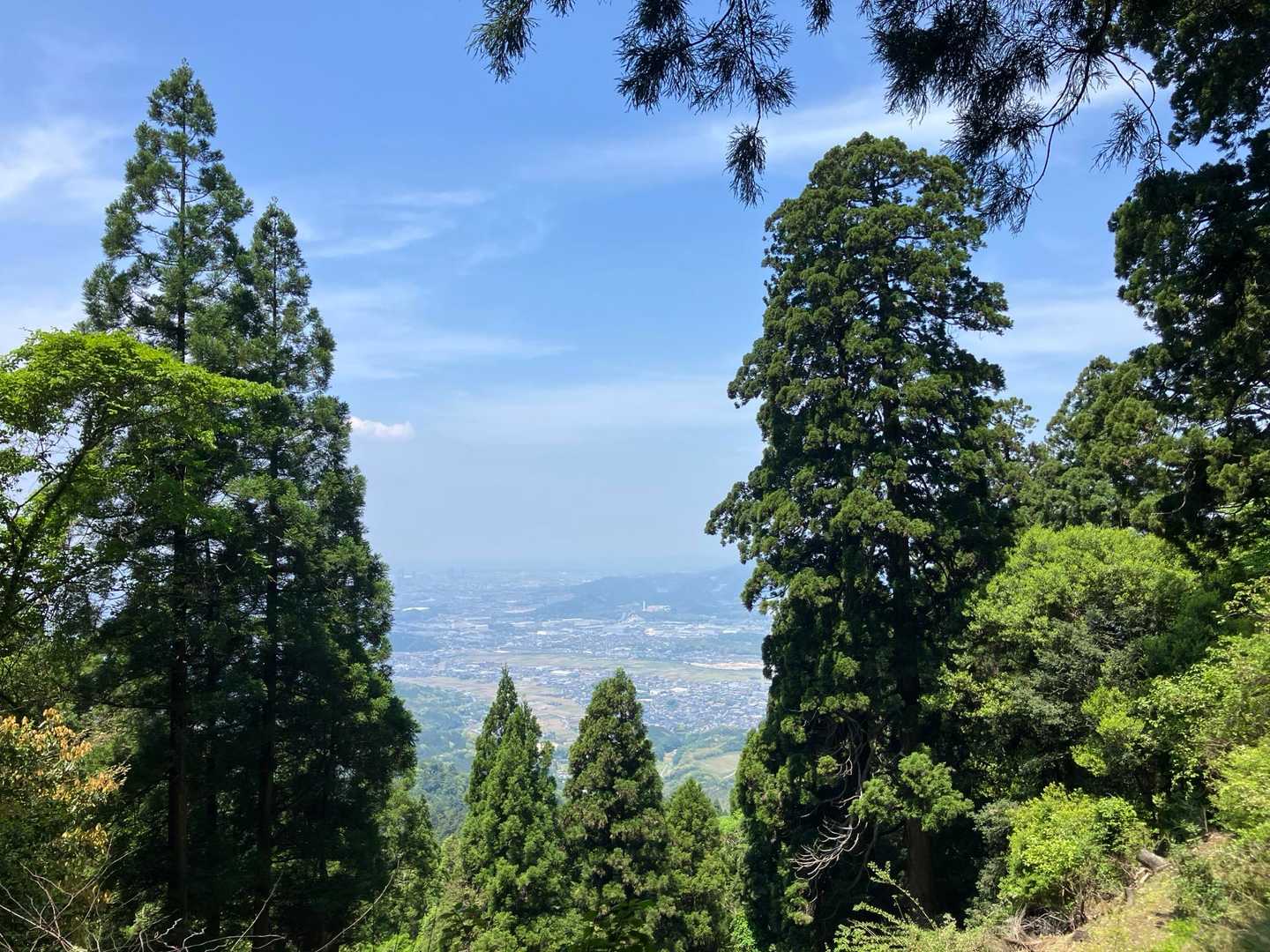 今日は天気が良くて暑いくらい！！