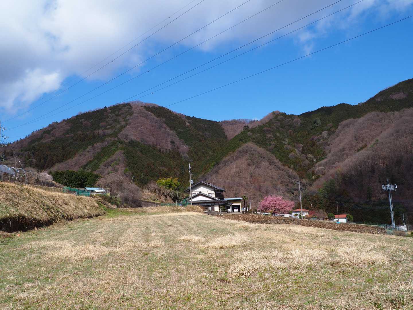 西側は青空